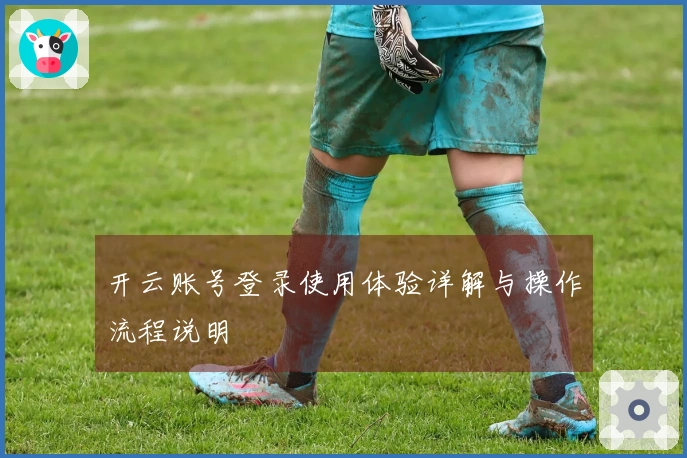 开云账号登录使用体验详解与操作流程说明